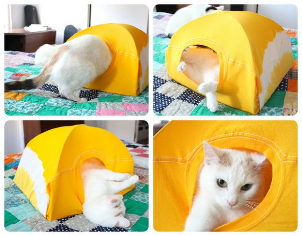 DIY-Cat-Tent-from-an-Old-T-Shirt-16