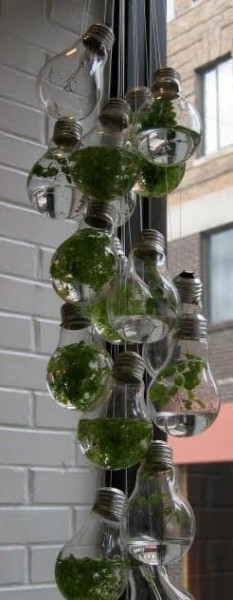 ideas-para-reciclar-bombillas-de-luz-13